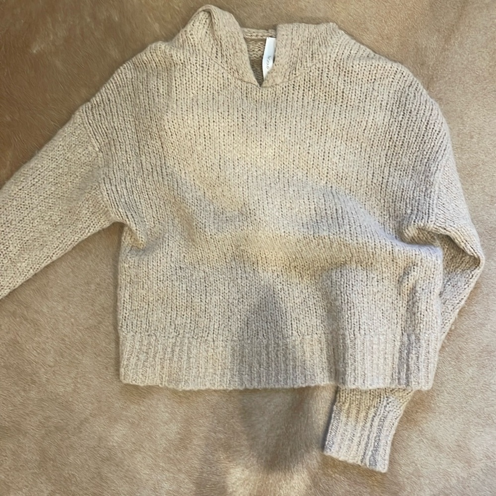 Aritizia knit hoodie